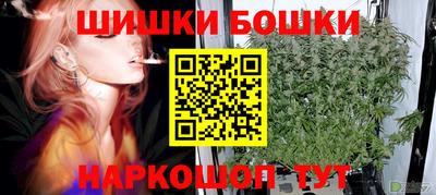 прущие грибы Анапа
