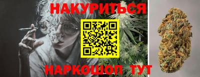прущие грибы Анапа