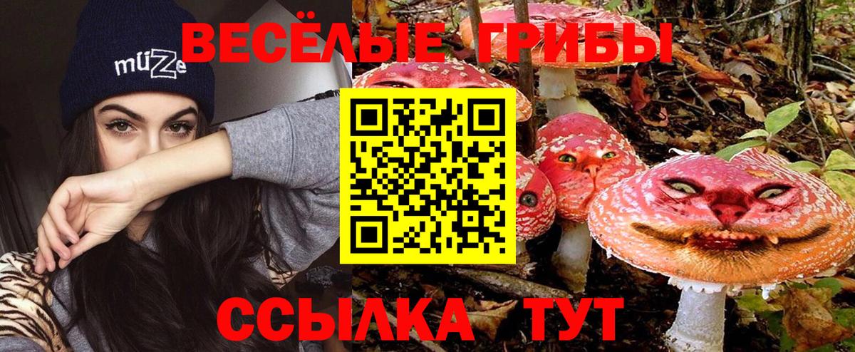 Галлюциногенные грибы Magic Shrooms Городец