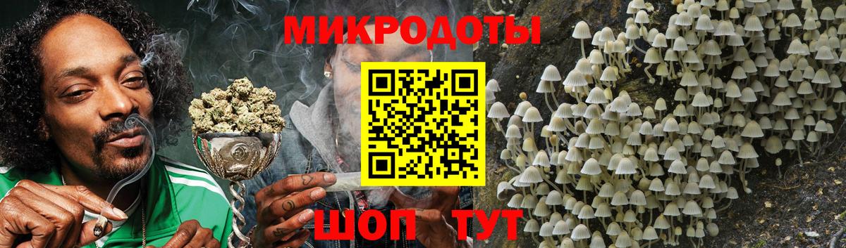где купить наркоту  Вход с VPN  Городец  Псилоцибиновые грибы мухоморы 